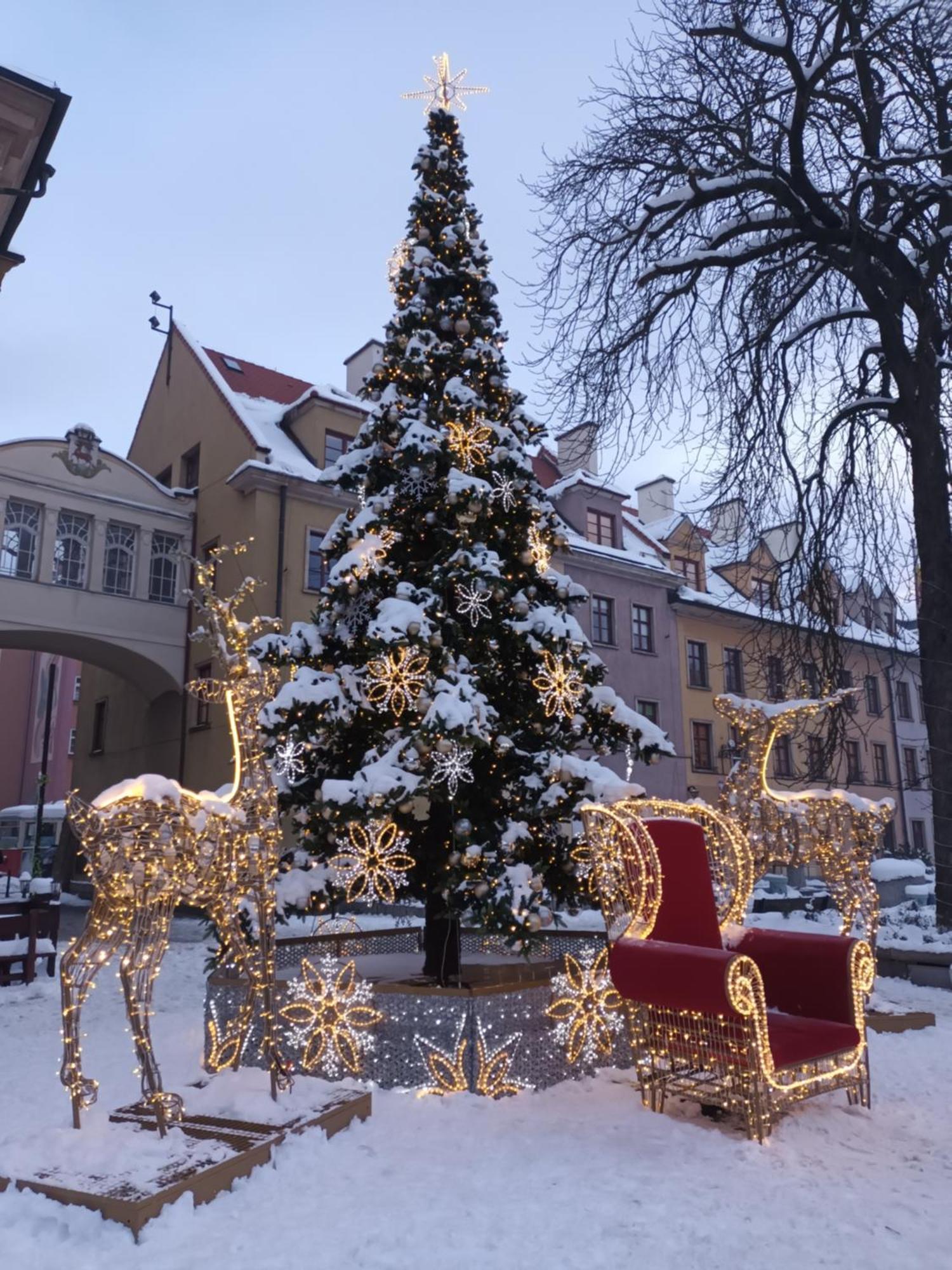 Apartament Lilla Jelenia Góra Extérieur photo