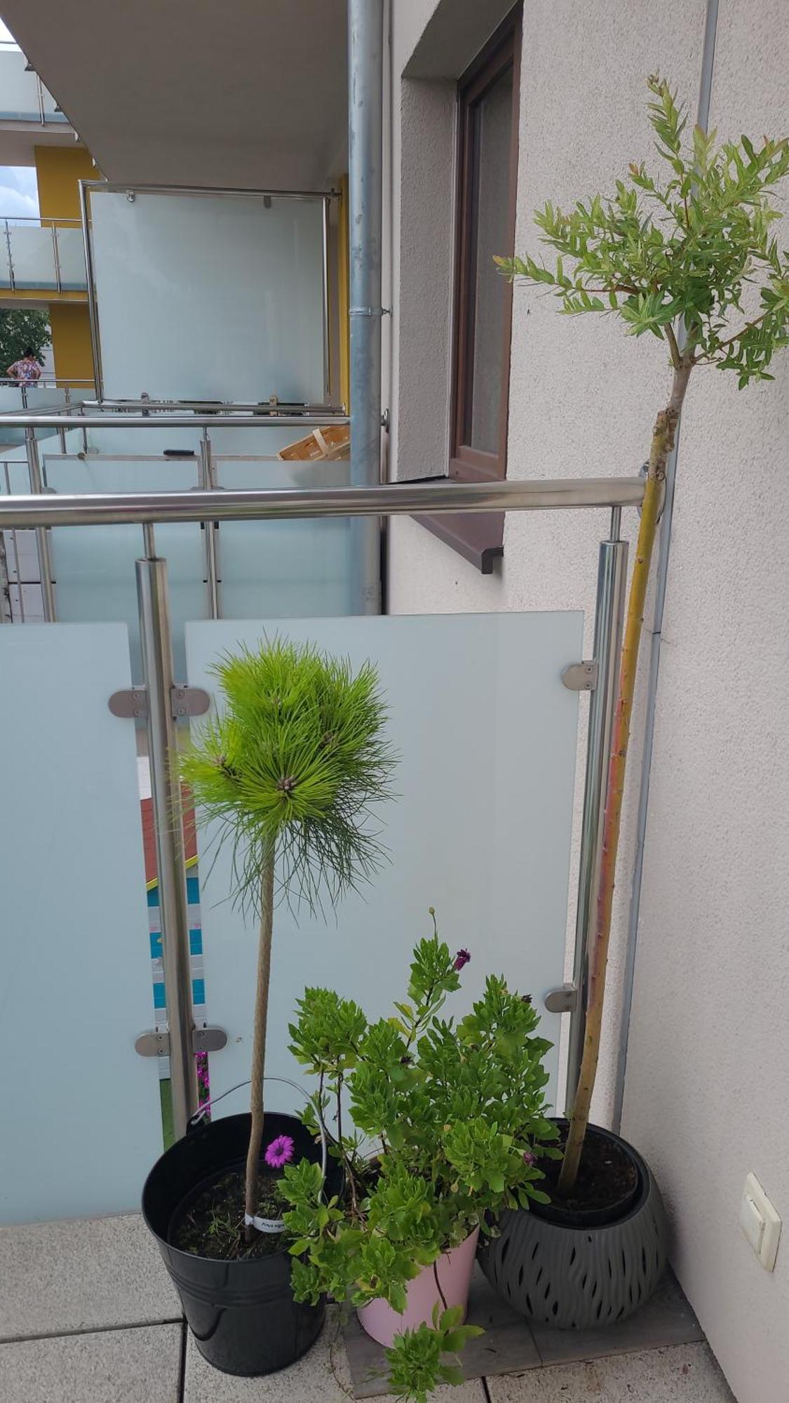 Apartament Lilla Jelenia Góra Extérieur photo